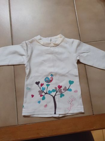 Joli tee-shirt ML 1 mois