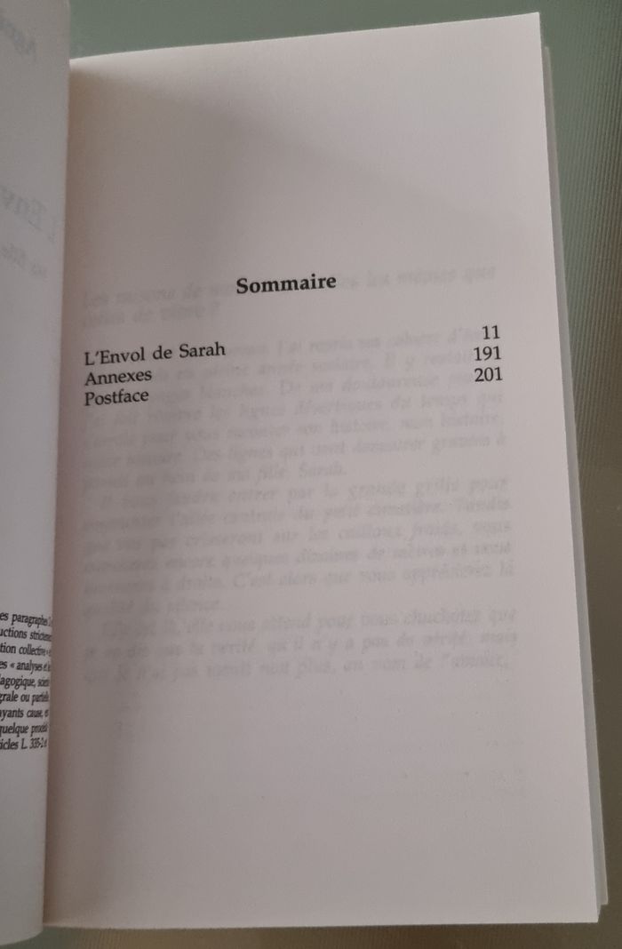 L'envol de Sarah - photo numéro 3