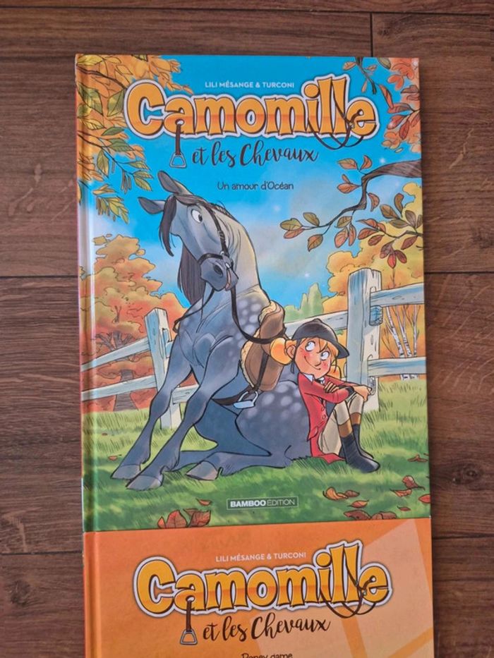 Lot de 2 bandes dessinées Camomille - photo numéro 2