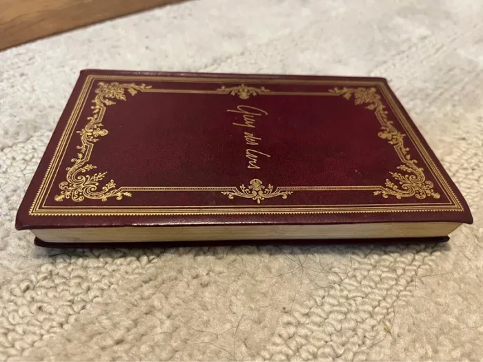 Livre ancien-collection La Dame Du Cirque de Guy Des Cars - photo numéro 6