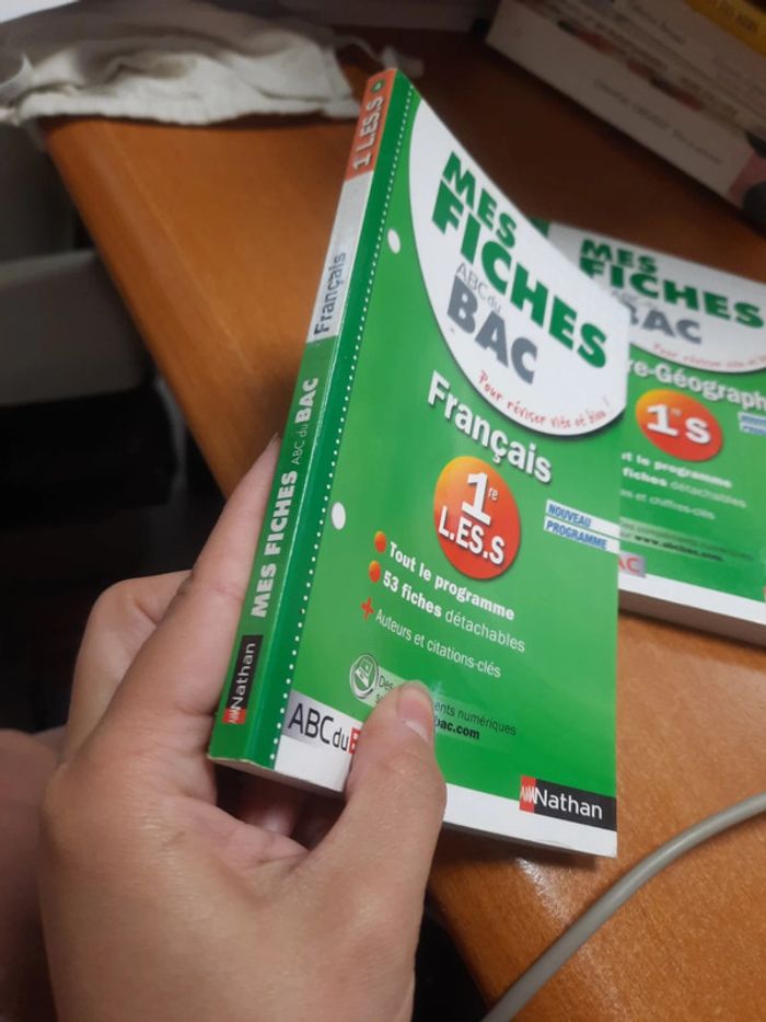 Fiche bac français - photo numéro 2