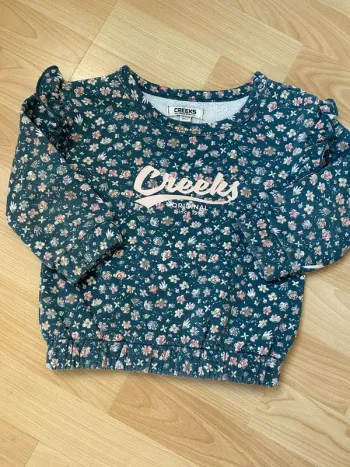 Pull col rond fleuries 24mois Creeks