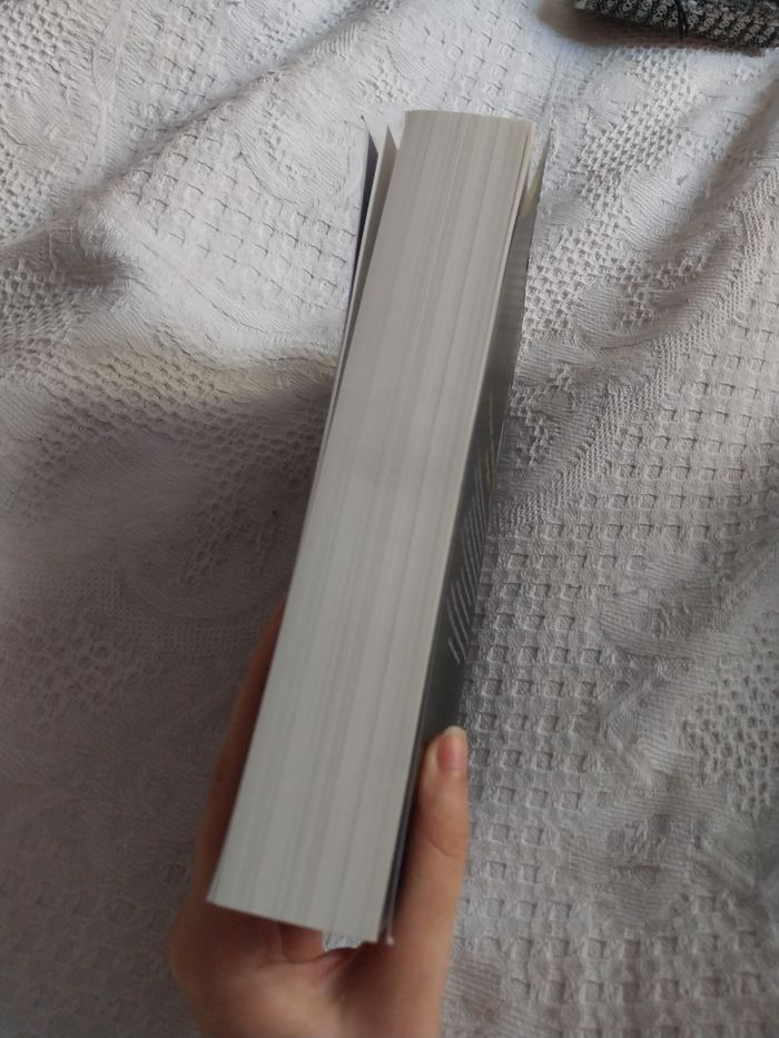 Roman Legacy of Gods tome 5 God of Fury Rina Kent - photo numéro 4