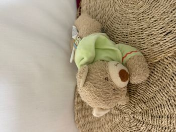 Doudou musical ours sweat capuche vert NICOTOY