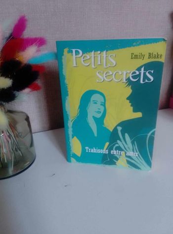 Roman petit secret et trahison de Emilie black