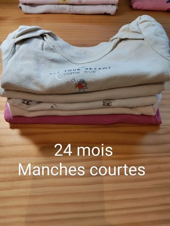 Lot de 5 bodies manches courtes