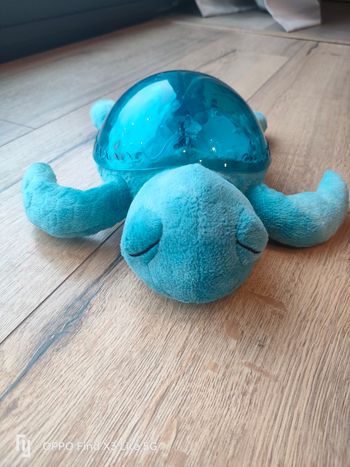 Tortue musicale tranquille turtle marque cloud b