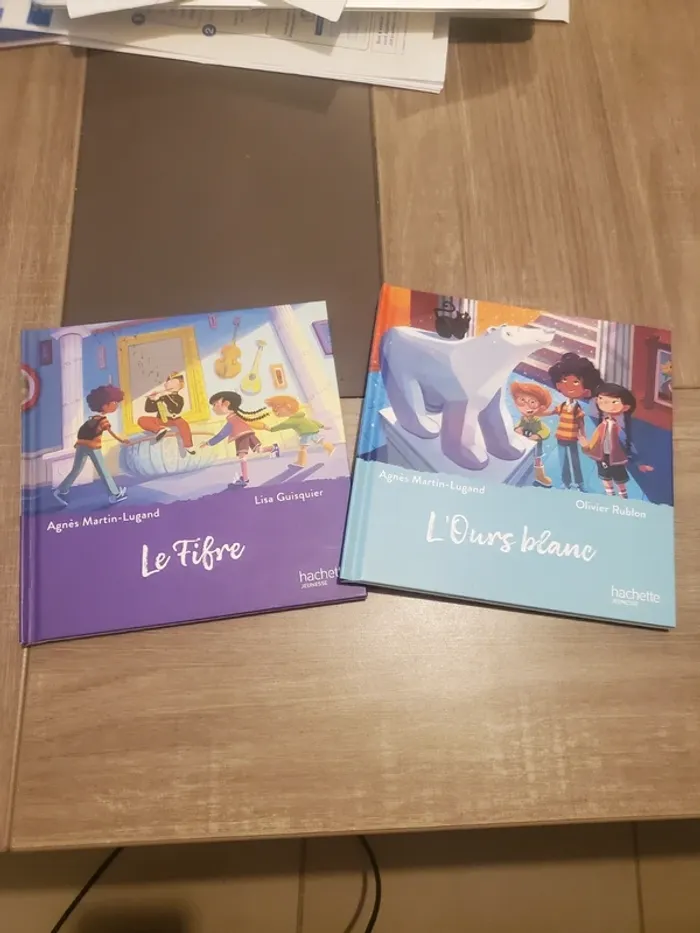 Lot de 2 livres "Le musée magique"