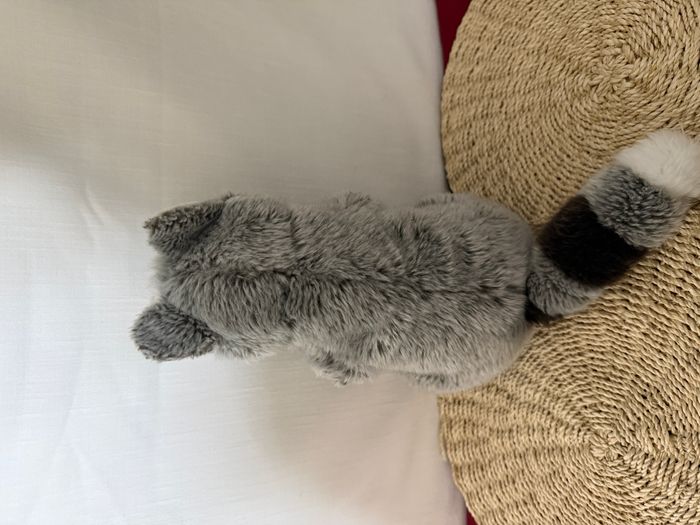 Peluche raton laveur PLAYKIDS gris - photo numéro 6