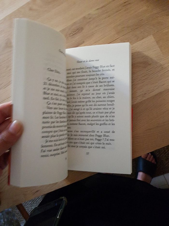 Oscar et la dame Rose - photo numéro 3