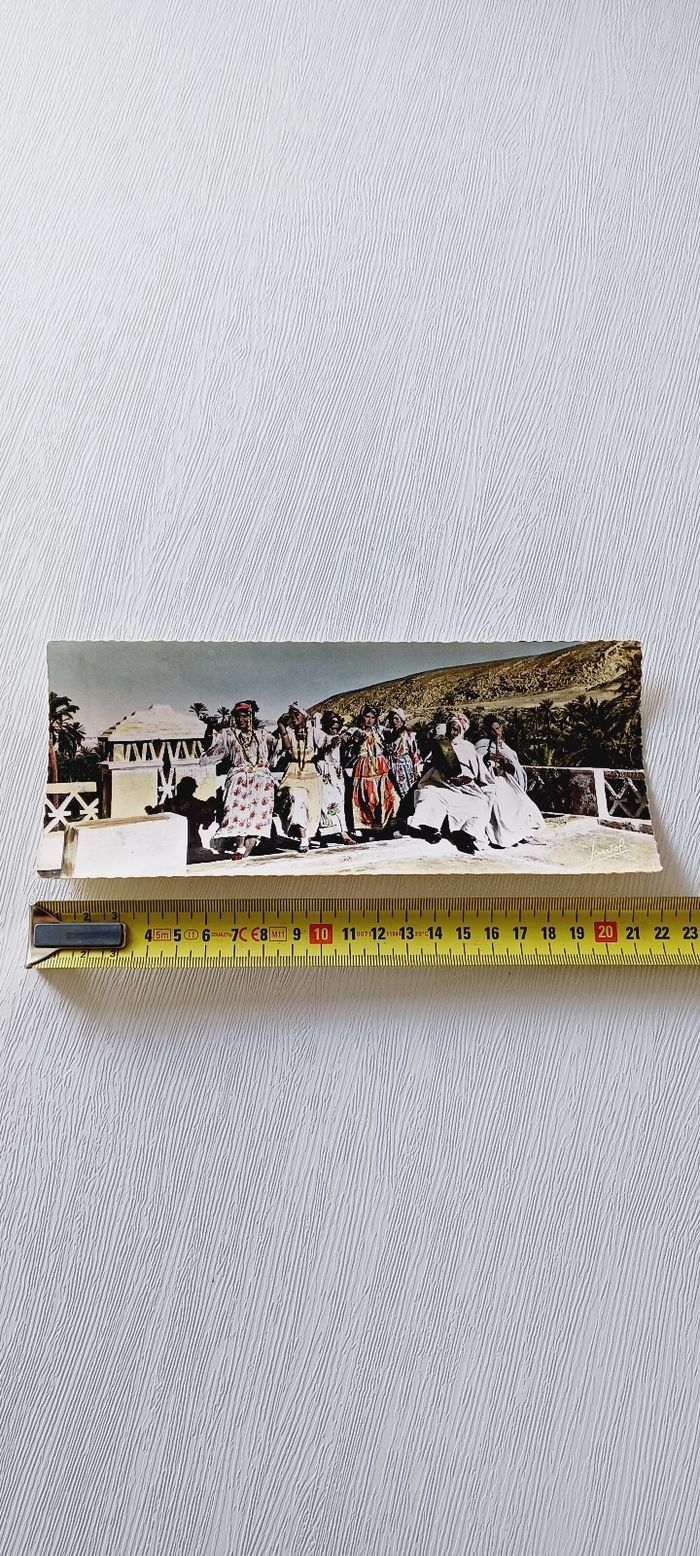Carte postale vintage alger
