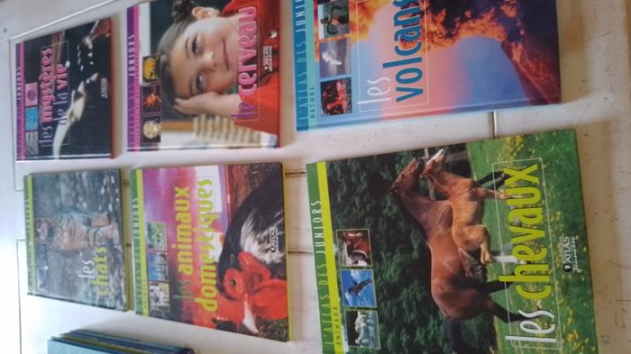 livres - photo numéro 2