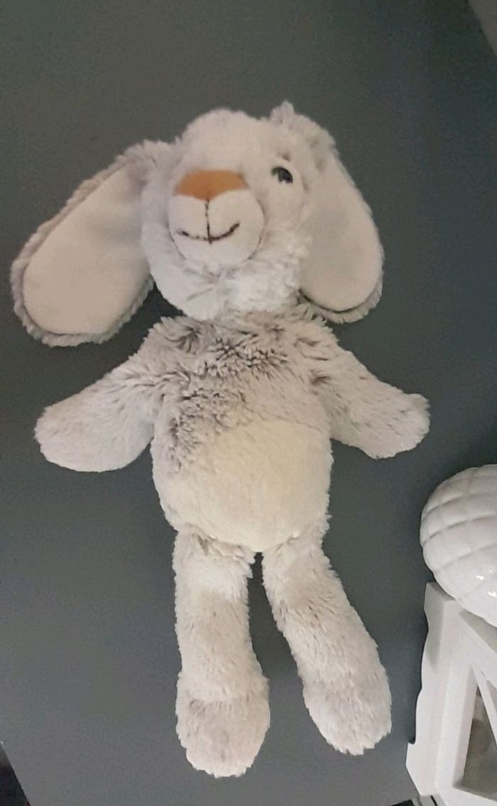 Lapin Rodadou gris pantin - photo numéro 2