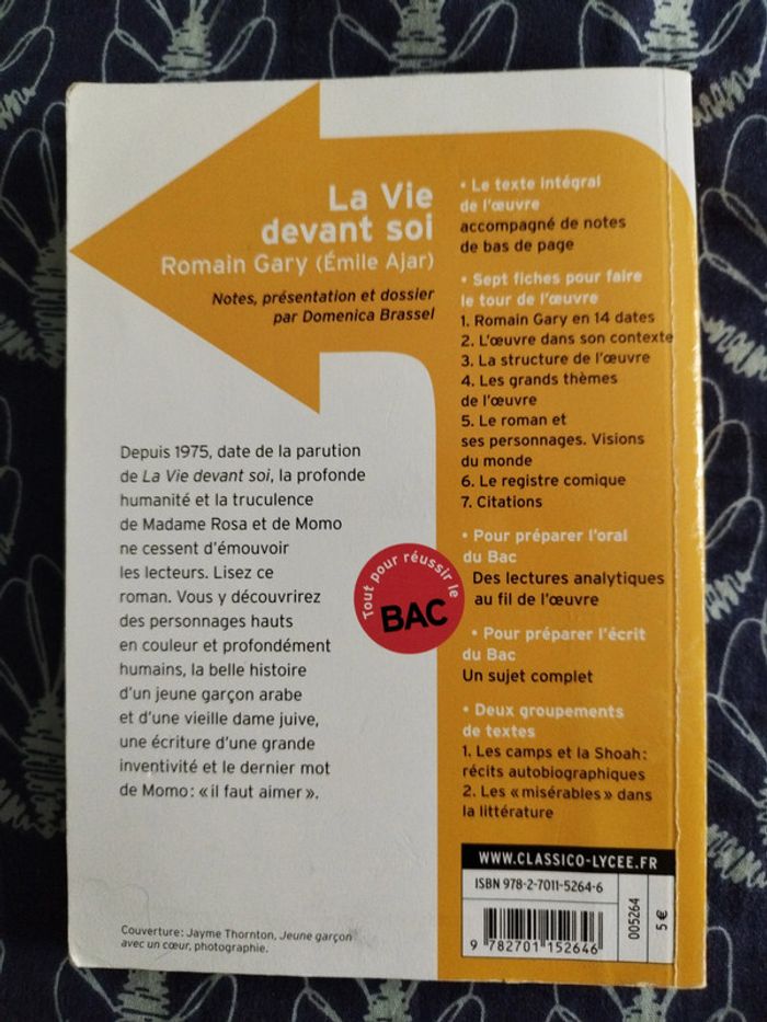 La vie devant soi - photo numéro 2