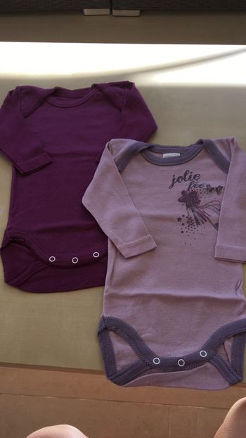 Lot de deux bodies neufs fille absorba