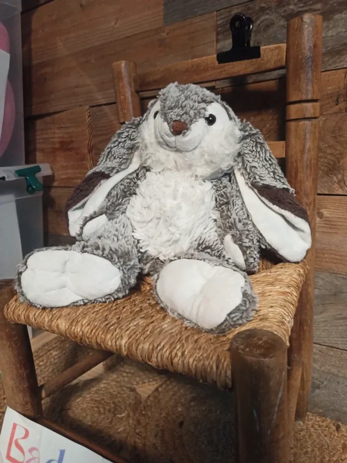 Peluche lapin histoire d'Ours Marius BE - photo numéro 3