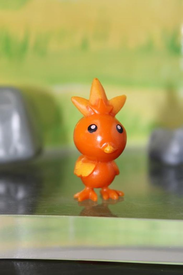 Pokemon Poussifeu - photo numéro 2