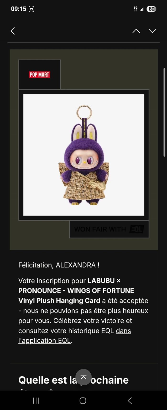 Labubu Wings of fortune - photo numéro 8