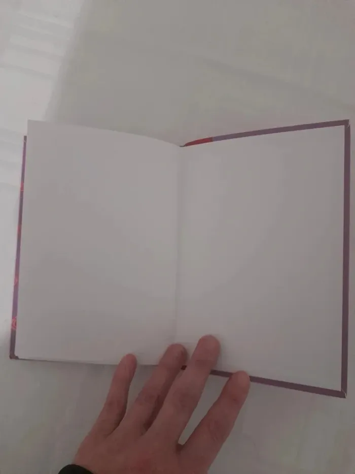 Lot 2 livres winx ibliotheque rose à partir de 7ans c - photo numéro 9