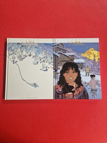 Lot de 2 bd à la recherche de peter pan 1 et 2 (série complète)