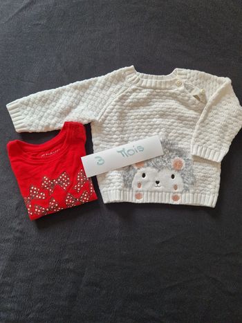 Pull et tee shirt