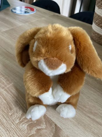 Peluche lapin