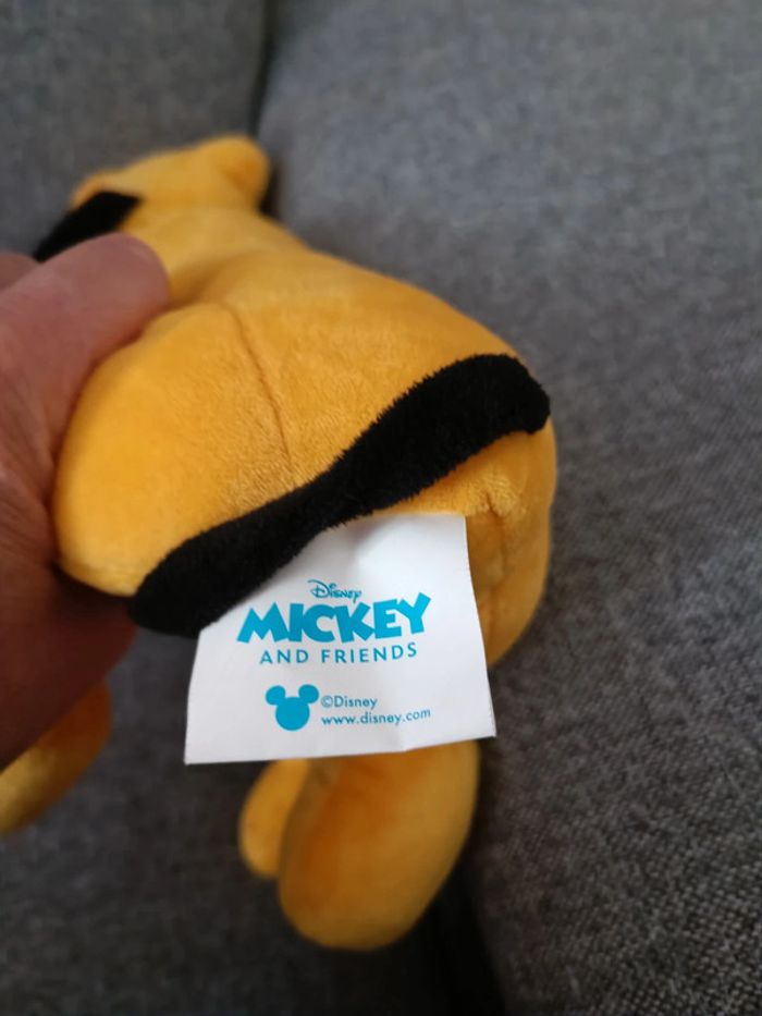 Pluto sonore - photo numéro 4