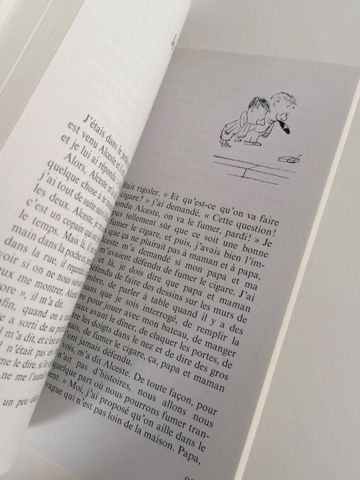 Livre le petit Nicolas 📘 - photo numéro 2
