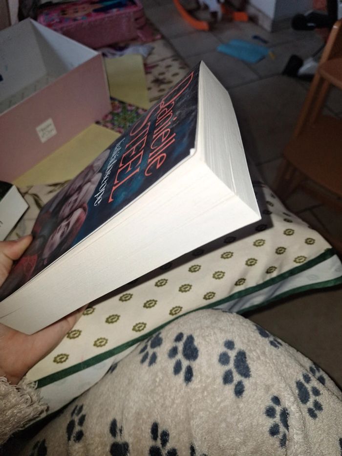 Kaleidoscop Danielle steel - photo numéro 4