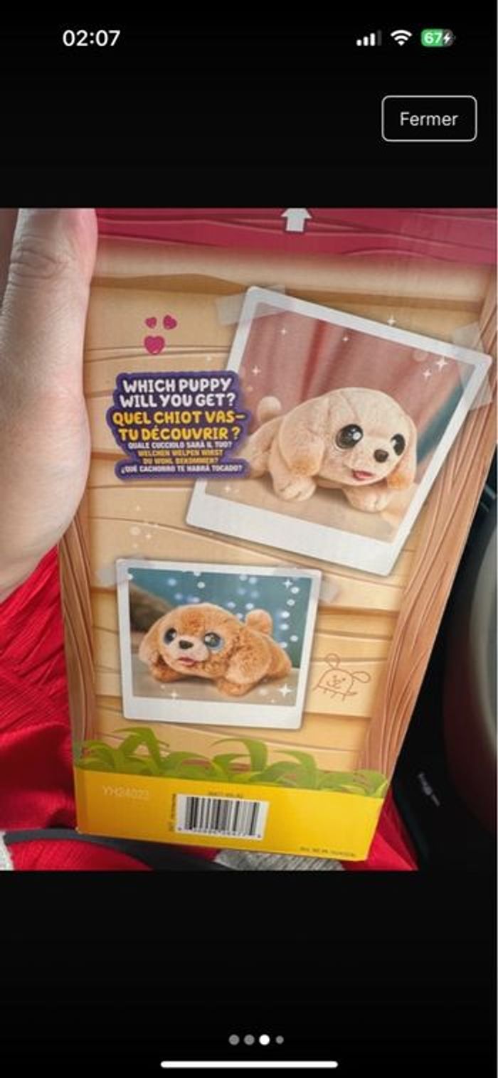 Little live Pet’s Puppy’s home - photo numéro 4