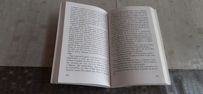 Petit pays de Gaël Faye - photo numéro 4