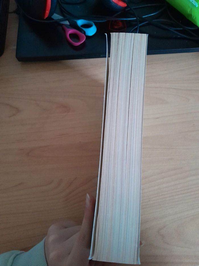 Livre tome 1 les héritiers d'enkidiev - photo numéro 4