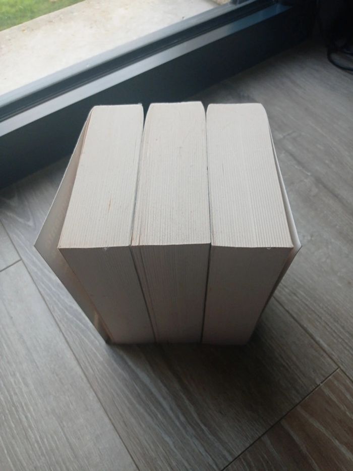 Trilogie 50 nuances - photo numéro 4