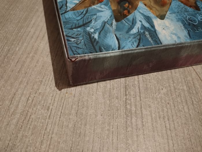 Lot fèves - photo numéro 3