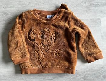 Pull roi lion bébé.