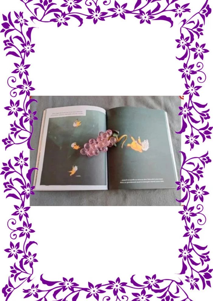 Livre Le Secret du Rocher Noir - photo numéro 3