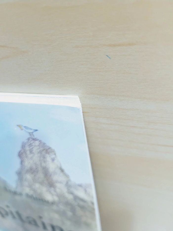 🌺 Livre (école des loisirs) : Le chapitaine - photo numéro 7