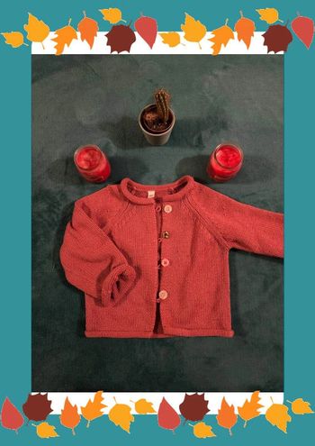 Gilet rose taille 12 mois