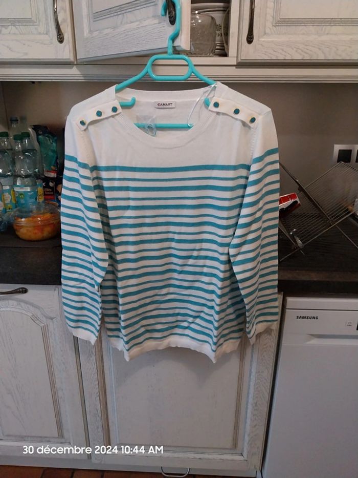 Rayé turquoise - Pull Marinière rayures brillantes – rayé turquoise – 46/48 - Damart - photo numéro 8