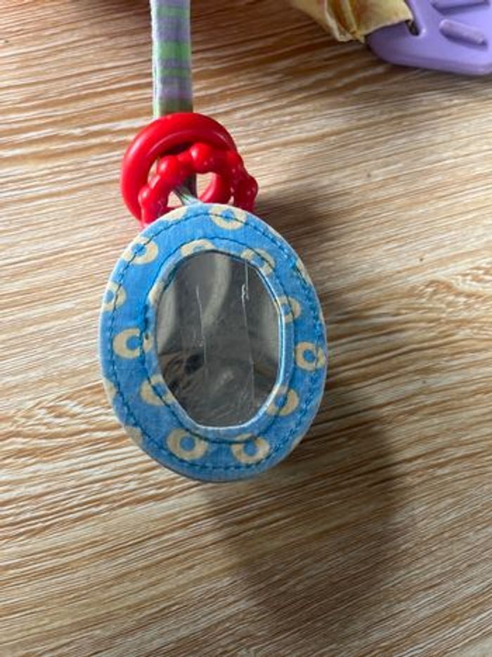 Abricot - photo numéro 3