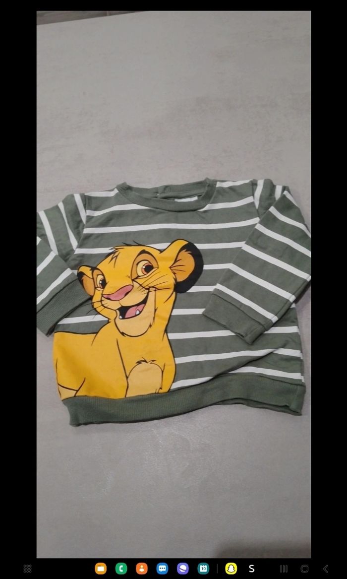 Sweat roi lion