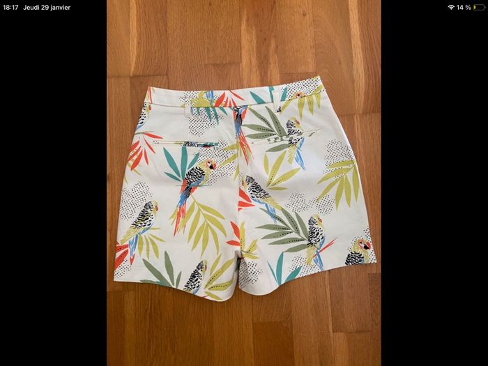 Short perroquet - photo numéro 4