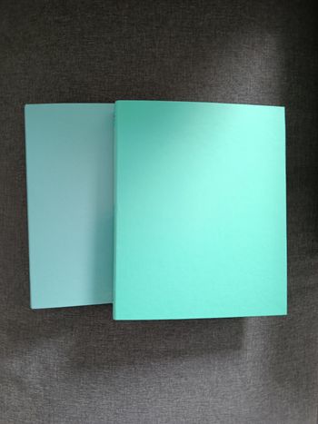 2 Classeurs neufs Exacompta