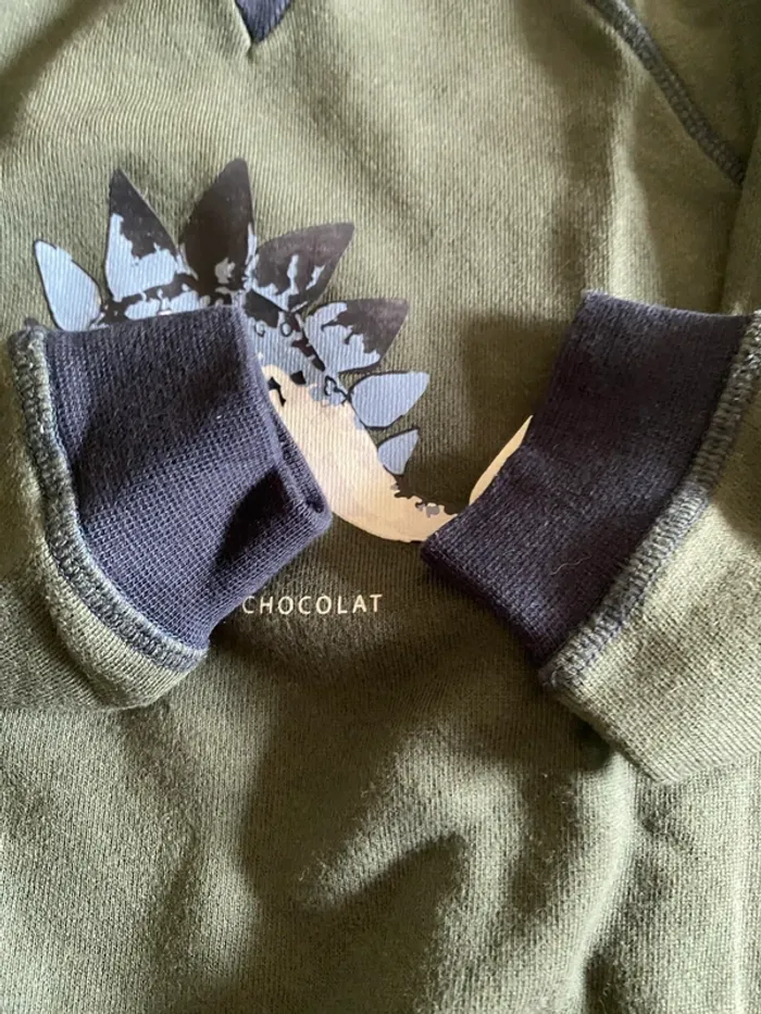 Sweat dinosaure Tartine et Chocolat 4 ans - photo numéro 5
