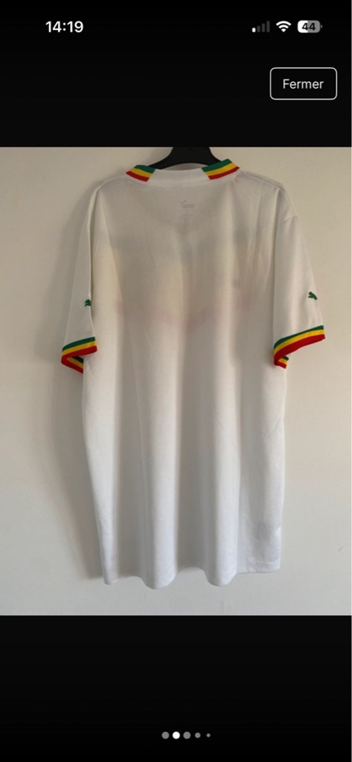 Maillot Sénégal Domicile - 2023-2024 - photo numéro 2