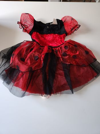 Deguisement coccinelle fille