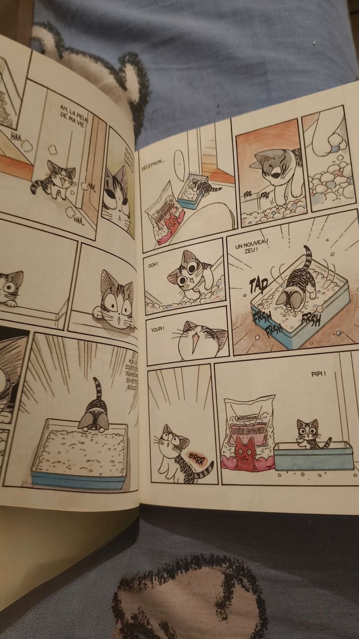 Un livre - photo numéro 2