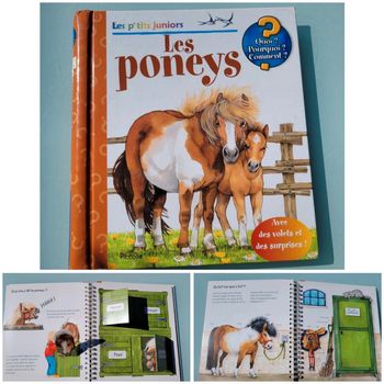 Livre animé à volets Les P'tits Juniors : 🐴 Les Poneys 🧲