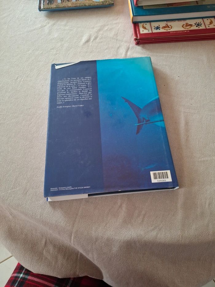 Livre requins innocents sauvages - photo numéro 2
