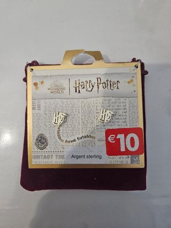 Paire Boucle d'oreille Harry potter Argent